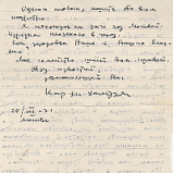 Сибиряк «Чиполлино» - НОВАТ - фото №4